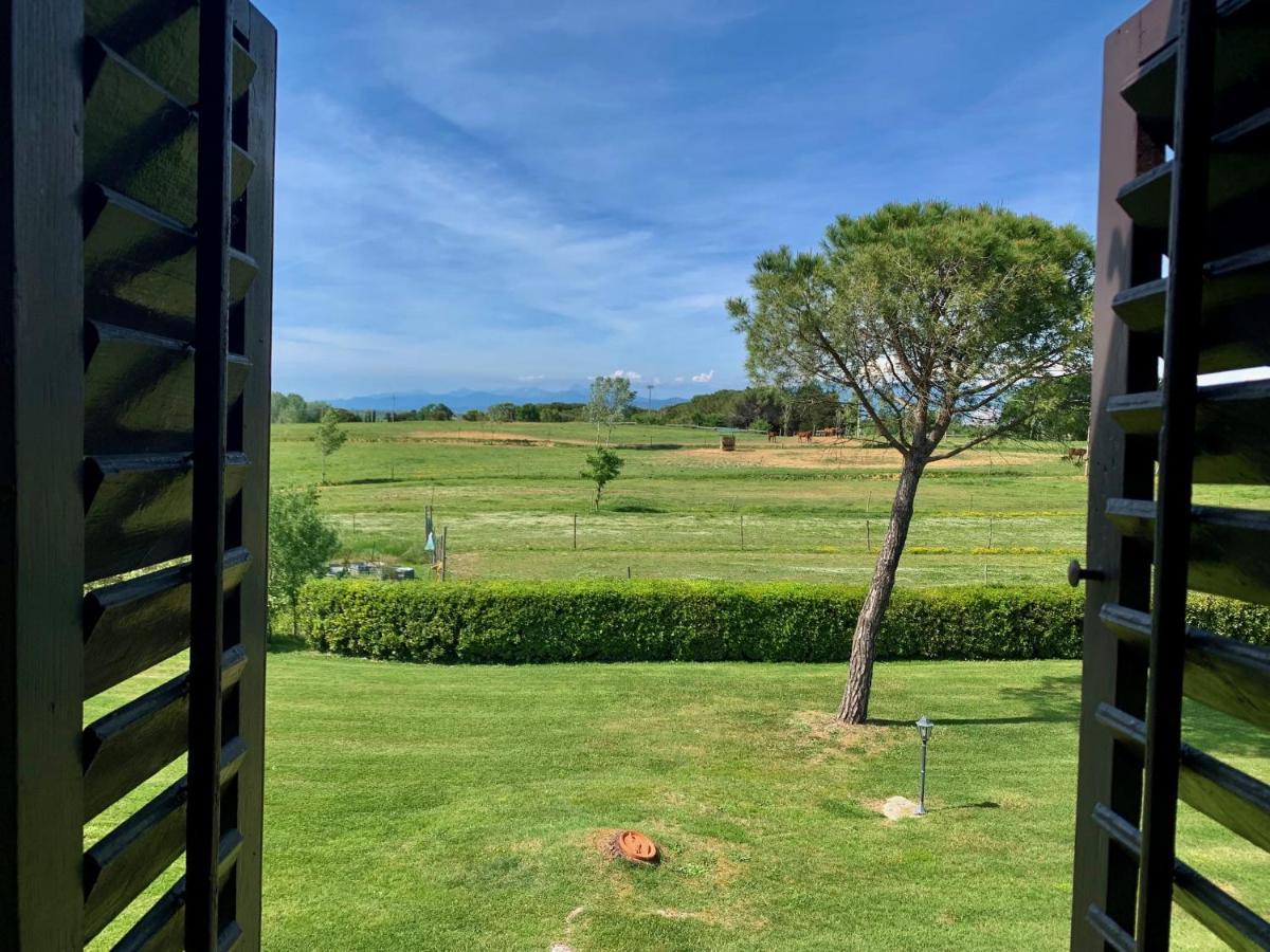 Podere Il Giurato Fauglia Bagian luar foto
