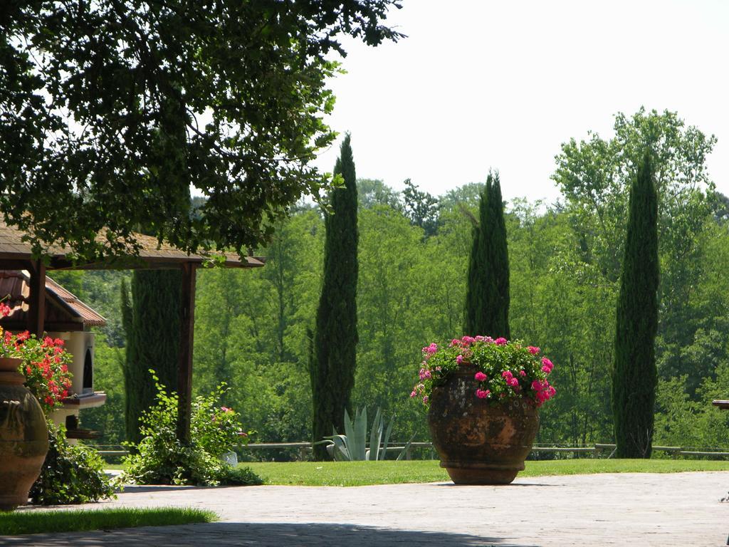 Podere Il Giurato Fauglia Bagian luar foto