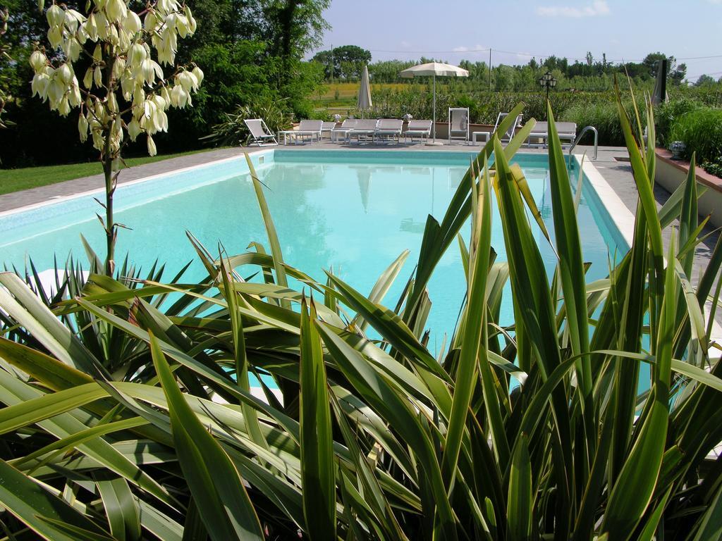 Podere Il Giurato Fauglia Bagian luar foto