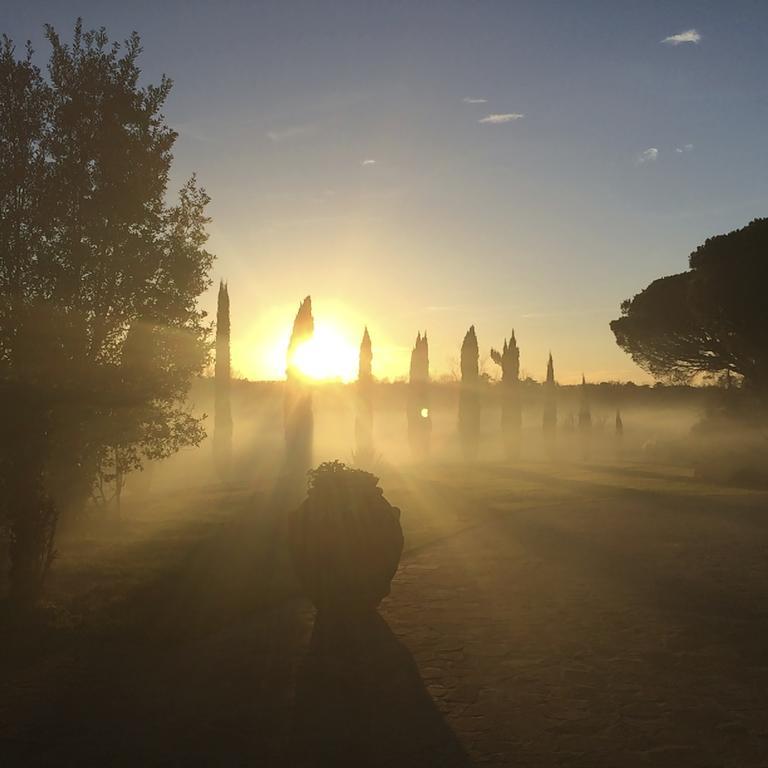 Podere Il Giurato Fauglia Bagian luar foto