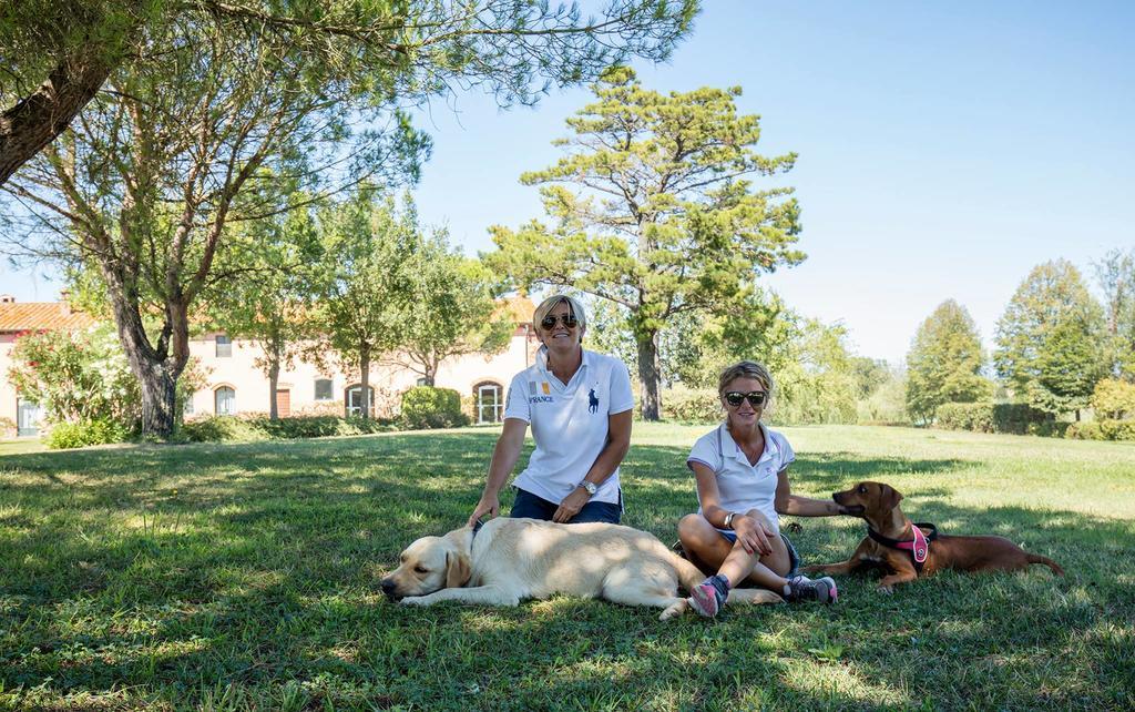 Podere Il Giurato Fauglia Bagian luar foto