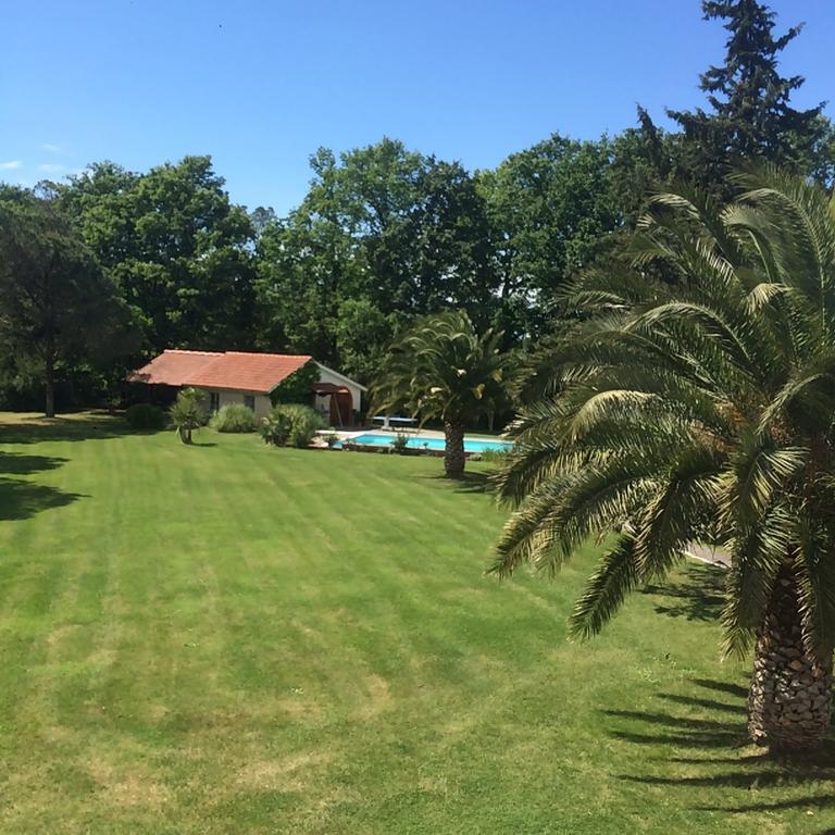 Podere Il Giurato Fauglia Bagian luar foto